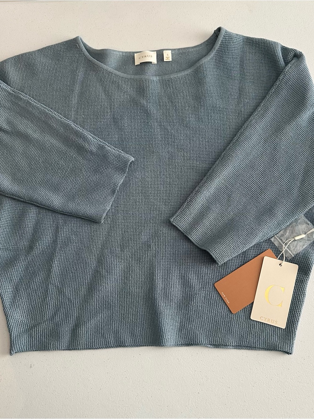 Cyrus Satin Blue Textured Knit Sweater NWT Small Quiet Luxury Minimalist Top